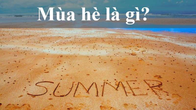 Mùa hè từ tháng mấy? Đặc điểm & các dấu hiệu nhận biết mùa hạ đang đến